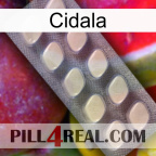 Cidala 08